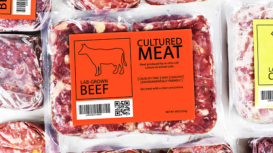 Cultured meat (also known as synthetic or in vitro meat) may be mass market ready in just a few years. Photo: PD