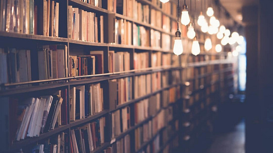 How do yo find the relevant information about a startup? Photo: PD